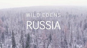 25 октября в 15:00 фильм «WILD EDENS: RUSSIA» будет показан на площадке РЦНК в рамках программы “Дней Российско-Монгольской Дружбы и Сотрудничества”. WILD EDENS: RUSSIA - первый фильм из новой серии